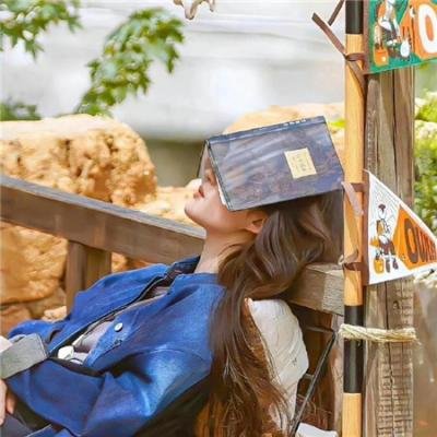 为爱叛逆2